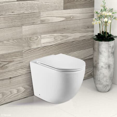 Fienza Isabella Back To Wall Toilet Suite — Ideal Bathroom Centre
