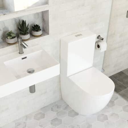 Fienza Isabella Back To Wall Toilet Suite — Ideal Bathroom Centre