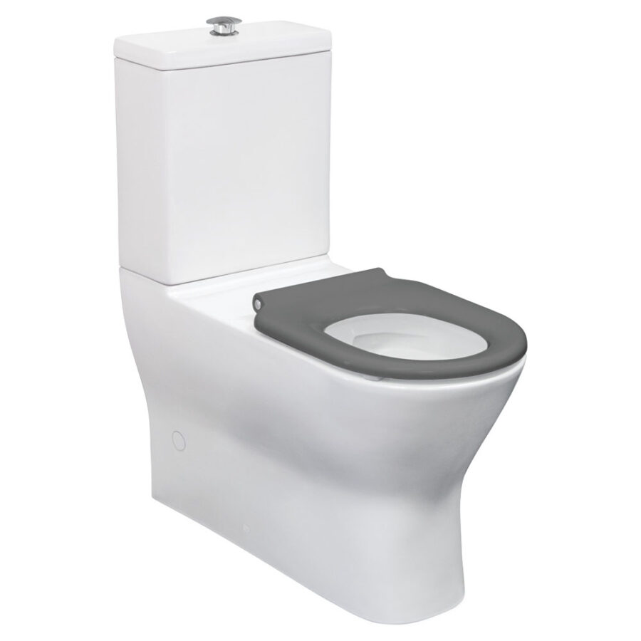 Fienza Delta Care Back-to-Wall Toilet Suite, Grey Seat