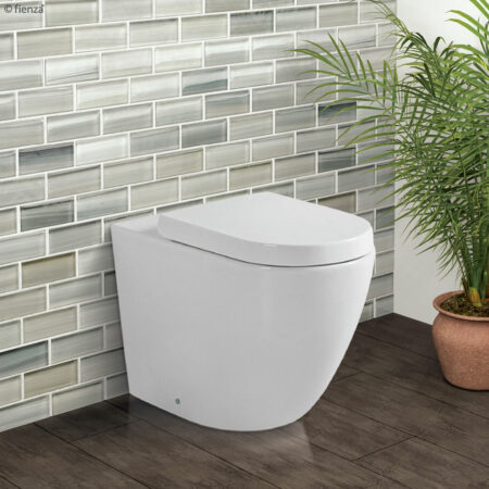 Fienza Isabella Back To Wall Toilet Suite — Ideal Bathroom Centre